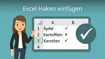 Excel Haken einfügen