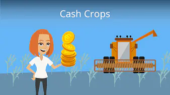 Cash Crops