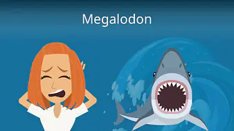 Megalodon