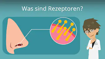 Was sind Rezeptoren?
