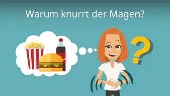 Warum knurrt der Magen?