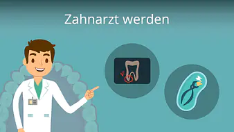 Zahnarzt werden