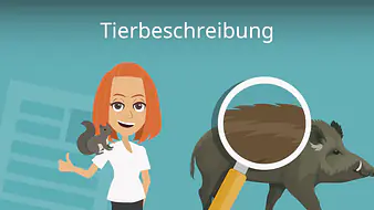 Tierbeschreibung