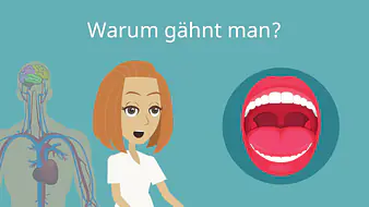 Warum gähnt man?