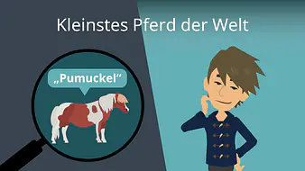 Kleinstes Pferd der Welt