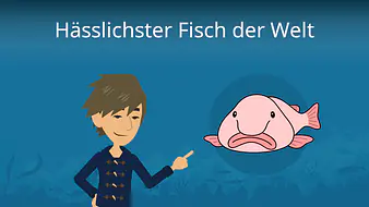Hässlichster Fisch der Welt