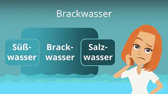 Brackwasser