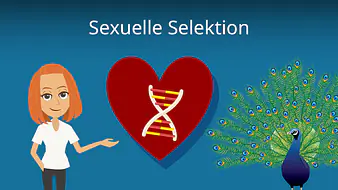 Sexuelle Selektion