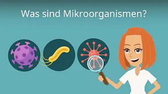 Was sind Mikroorganismen?