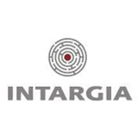 Logo von INTARGIA Managementberatung