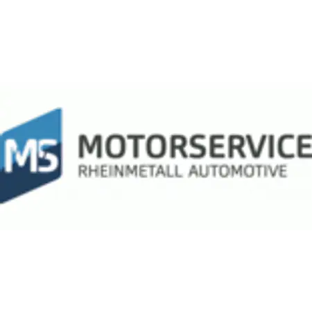 Logo von MS Motor Service International