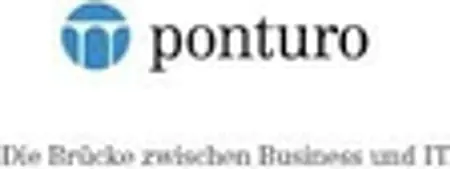 Logo von ponturo consulting