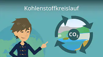 Kohlenstoffkreislauf
