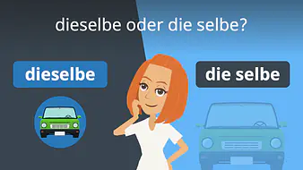 die selbe oder dieselbe?