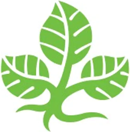 Logo von HöMS - Hessische Hochschule für öffentliches Management und Sicherheit