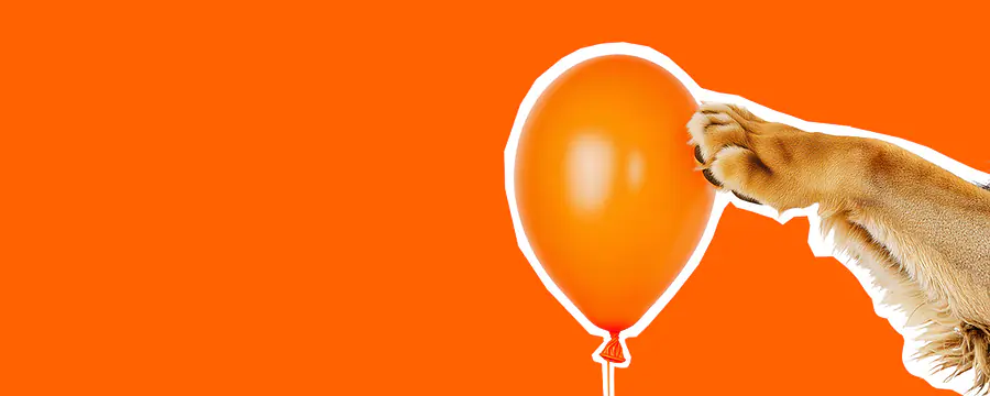 header_image