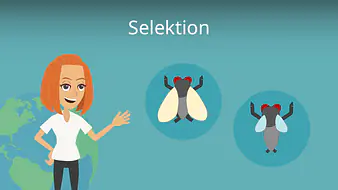 Selektion