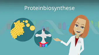 Proteinbiosynthese