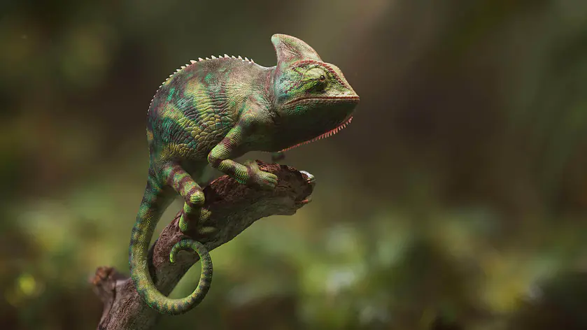 3D Rendering von einem Chameleon auf einem Ast