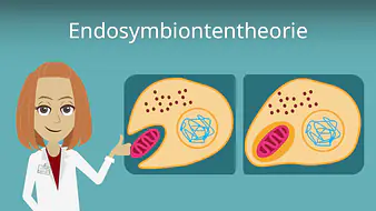 Endosymbiontentheorie