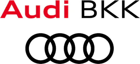 Logo von Audi BKK