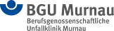 Logo von BG Unfallklinik Murnau
