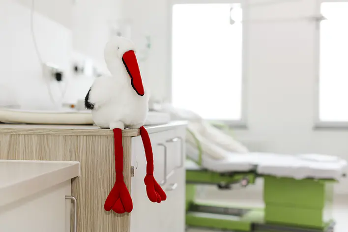 Foto von einem Plüschtier Storch