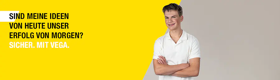 Vega Informatik