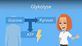 Glykolyse