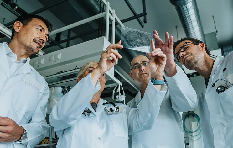 Master Thesis in Physics or Materials Science: Remanent phase shifter based on memristive technology