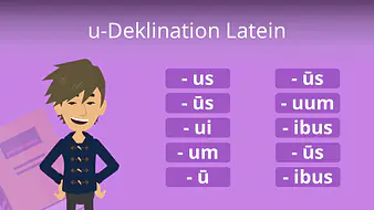u-Deklination Latein