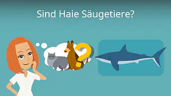Sind Haie Säugetiere?