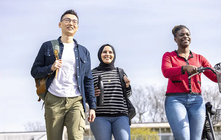 Internship - Organizing Phenotypic Data for Soil-Plant Model Calibration