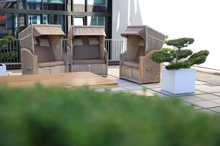 MSH Medical School Hamburg