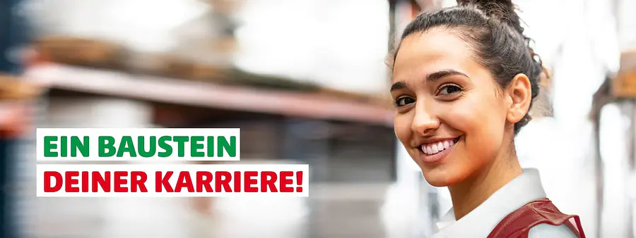 JOB_PUBLICATION_PAGE_PANORAMA