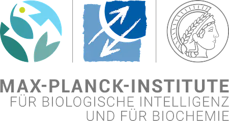 Logo von Max-Planck-Institut für biologische Intelligenz und für Biochemie