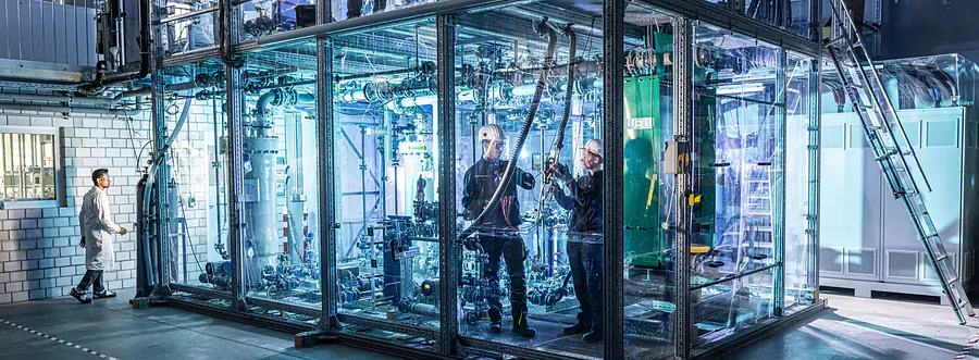 25