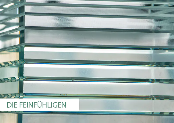 Die Feinfühligen