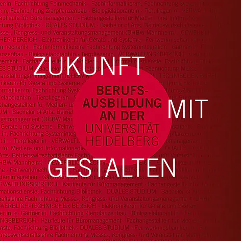 Ausbildungsgrafik