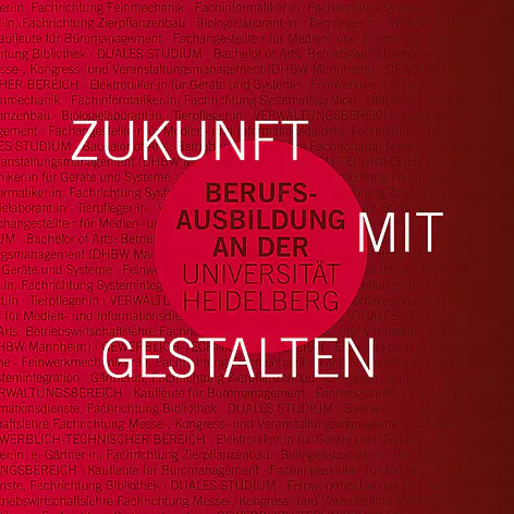 Ausbildungsgrafik