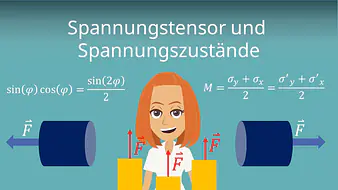 Spannungstensor und Spannungszustände
