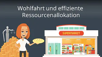 Wohlfahrt und effiziente Ressourcenallokation