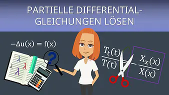 Intro Partielle DGL lösen