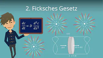 2. Ficksches Gesetz