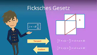 Ficksches Gesetz
