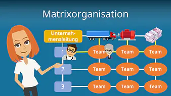 Matrixorganisation