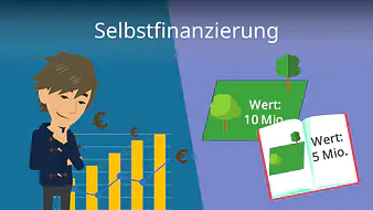 Selbstfinanzierung