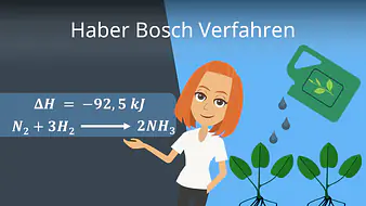 Haber Bosch Verfahren