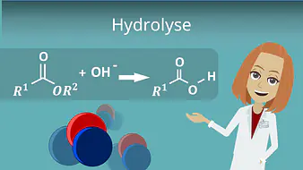 Hydrolyse