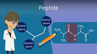 Peptide